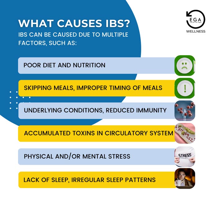 what causes ibs? diet, underlying conditions, toxins in circulatory system, stress, lack of sleep